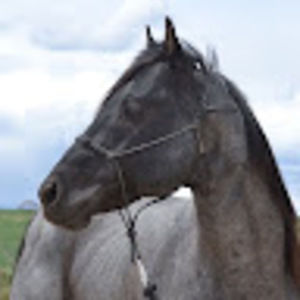 Meet your Posher, Lorie